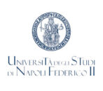 Università degli Studi di Napoli Federico II Università degli Studi di Napoli Federico II